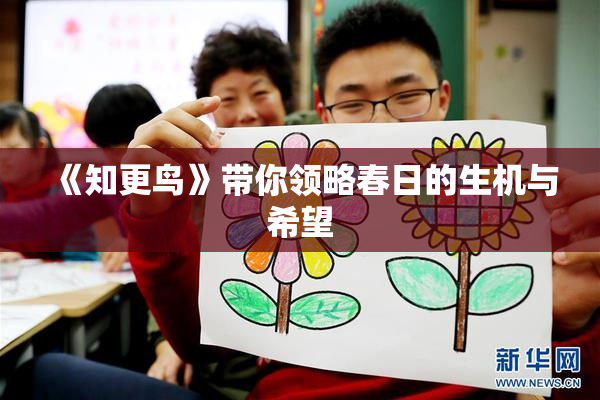 《知更鸟》带你领略春日的生机与希望