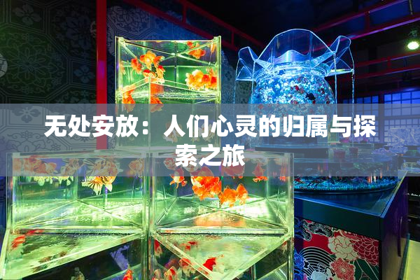 无处安放：人们心灵的归属与探索之旅