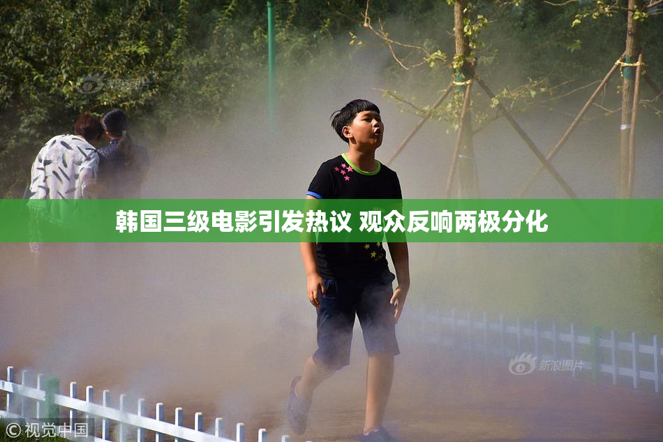 韩国三级电影引发热议 观众反响两极分化