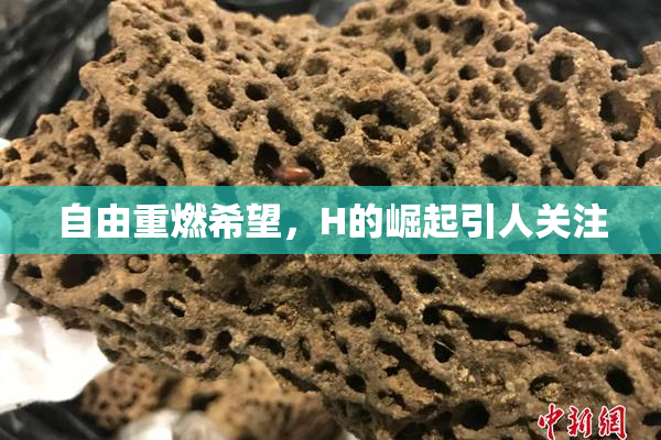 自由重燃希望，H的崛起引人关注