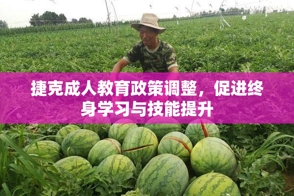 捷克成人教育政策调整，促进终身学习与技能提升
