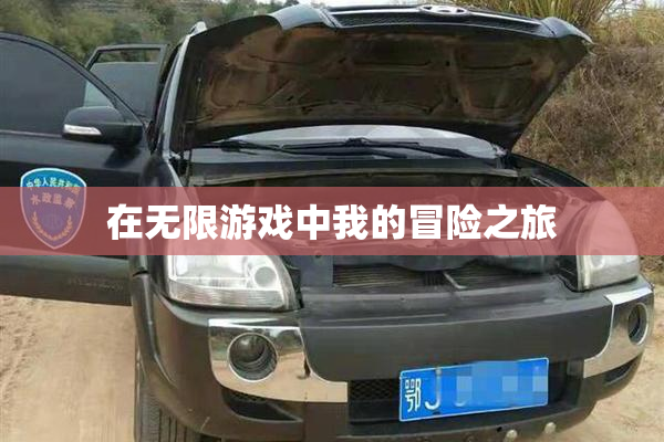 在无限游戏中我的冒险之旅