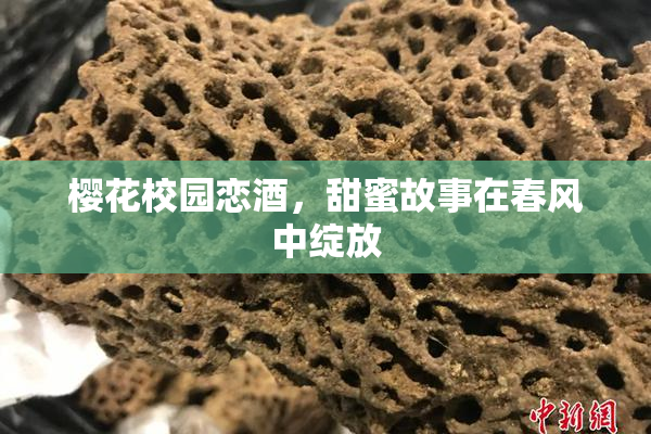 樱花校园恋酒，甜蜜故事在春风中绽放