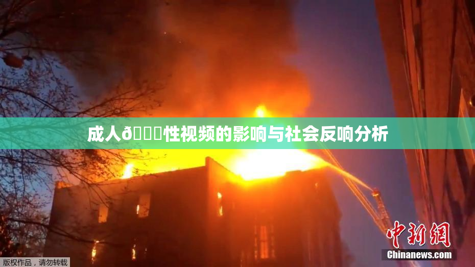 成人🔞性视频的影响与社会反响分析