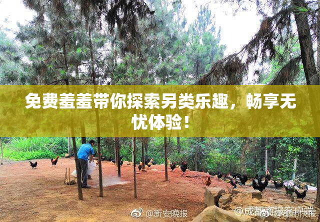免费羞羞带你探索另类乐趣，畅享无忧体验！