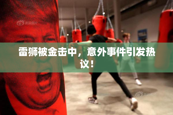 雷狮被金击中，意外事件引发热议！