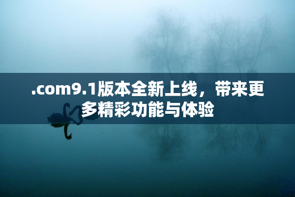 .com9.1版本全新上线，带来更多精彩功能与体验
