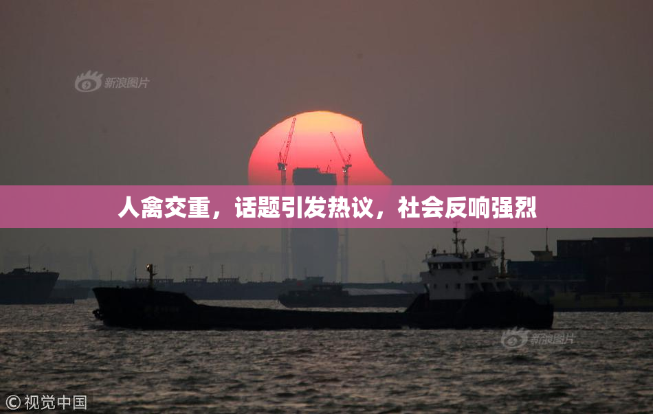 人禽交重，话题引发热议，社会反响强烈