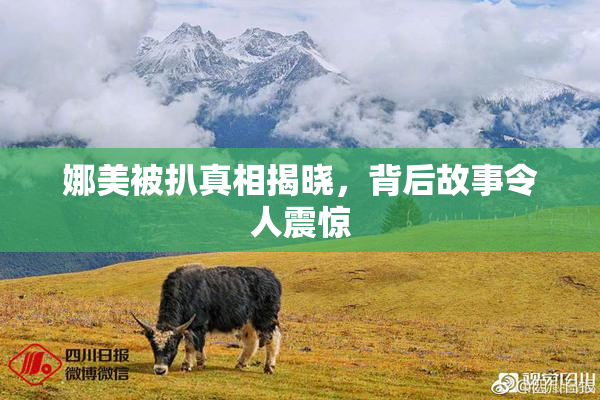 娜美被扒真相揭晓，背后故事令人震惊