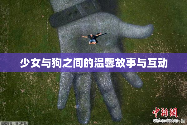 少女与狗之间的温馨故事与互动