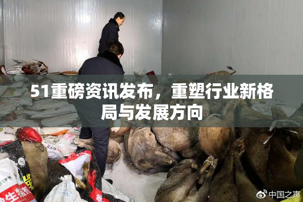 51重磅资讯发布，重塑行业新格局与发展方向