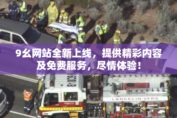 9幺网站全新上线，提供精彩内容及免费服务，尽情体验！