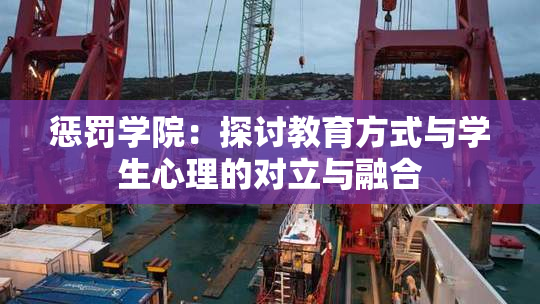 惩罚学院：探讨教育方式与学生心理的对立与融合