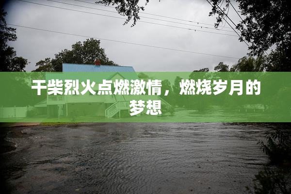 干柴烈火点燃激情，燃烧岁月的梦想