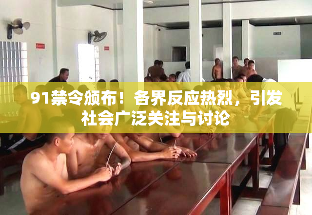 91禁令颁布！各界反应热烈，引发社会广泛关注与讨论