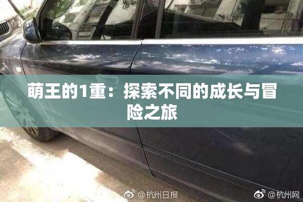 萌王的1重：探索不同的成长与冒险之旅