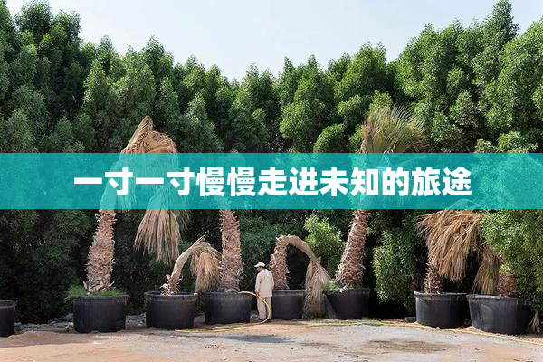 一寸一寸慢慢走进未知的旅途