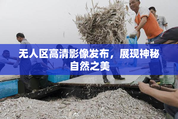 无人区高清影像发布，展现神秘自然之美