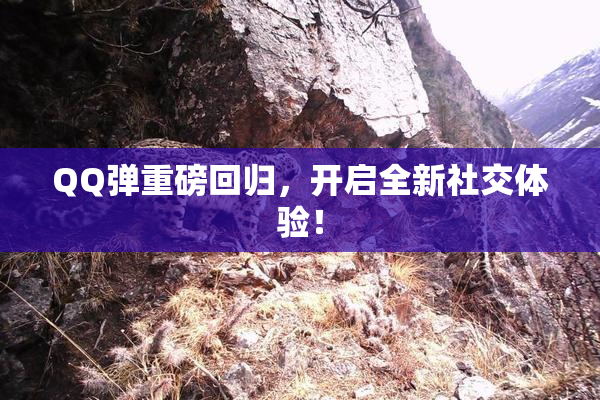 QQ弹重磅回归，开启全新社交体验！