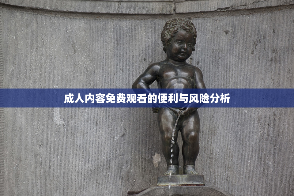 成人内容免费观看的便利与风险分析