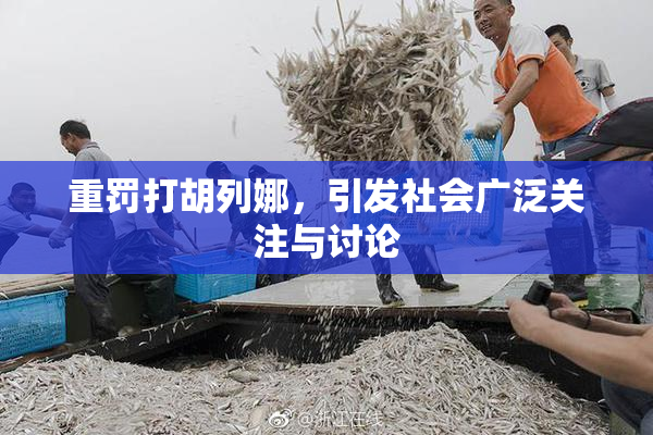 重罚打胡列娜，引发社会广泛关注与讨论