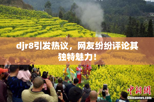 djr8引发热议，网友纷纷评论其独特魅力！