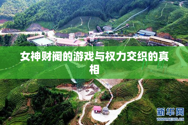 女神财阀的游戏与权力交织的真相