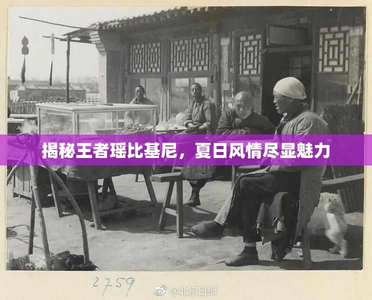 揭秘王者瑶比基尼，夏日风情尽显魅力