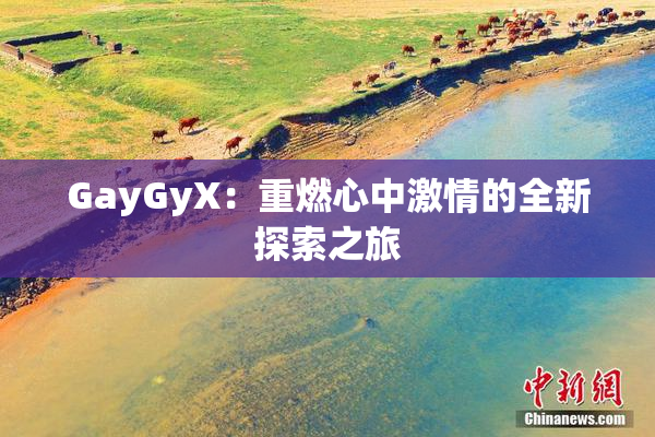GayGyX：重燃心中激情的全新探索之旅