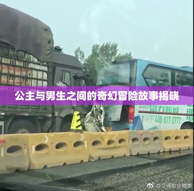 公主与男生之间的奇幻冒险故事揭晓