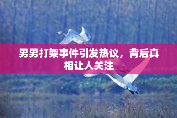 男男打架事件引发热议，背后真相让人关注