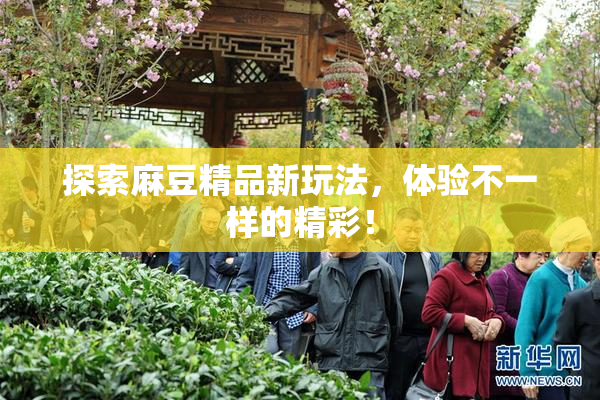 探索麻豆精品新玩法，体验不一样的精彩！