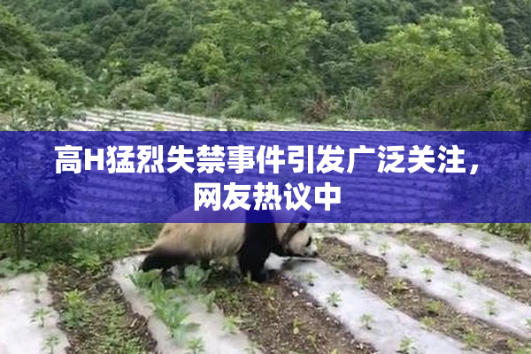 高H猛烈失禁事件引发广泛关注，网友热议中