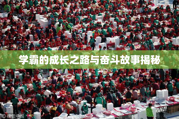 学霸的成长之路与奋斗故事揭秘
