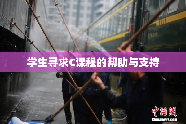 学生寻求C课程的帮助与支持