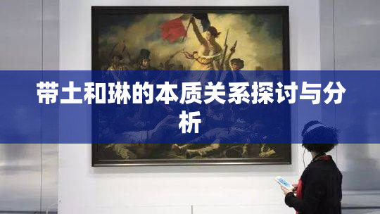 带土和琳的本质关系探讨与分析