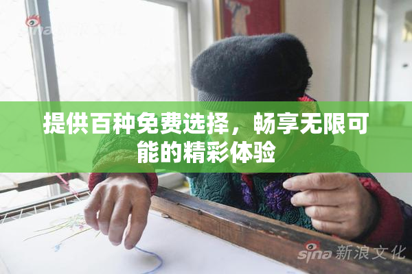 提供百种免费选择，畅享无限可能的精彩体验