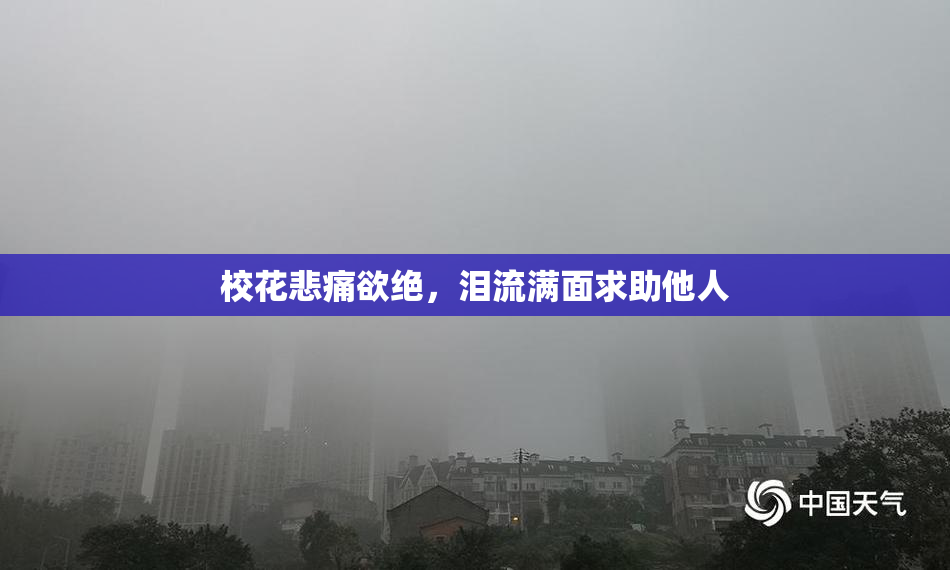 校花悲痛欲绝，泪流满面求助他人