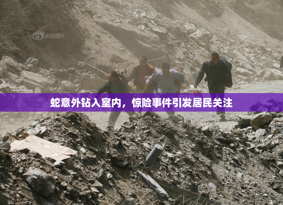 蛇意外钻入室内，惊险事件引发居民关注