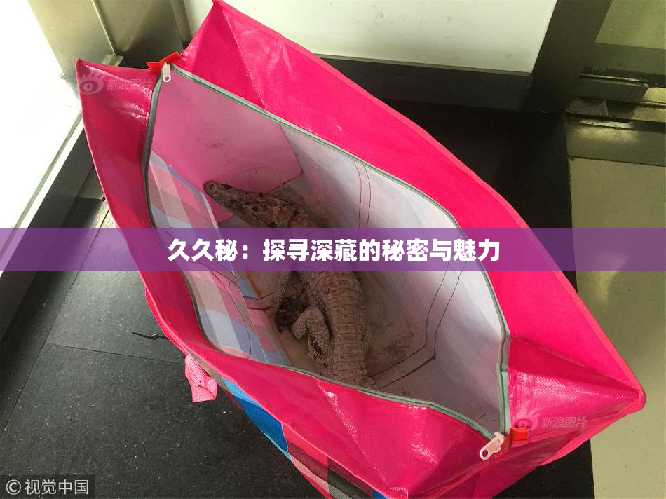 久久秘：探寻深藏的秘密与魅力
