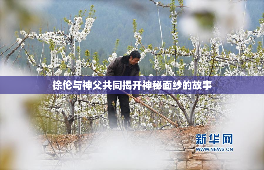 徐伦与神父共同揭开神秘面纱的故事