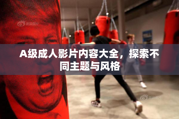 A级成人影片内容大全，探索不同主题与风格
