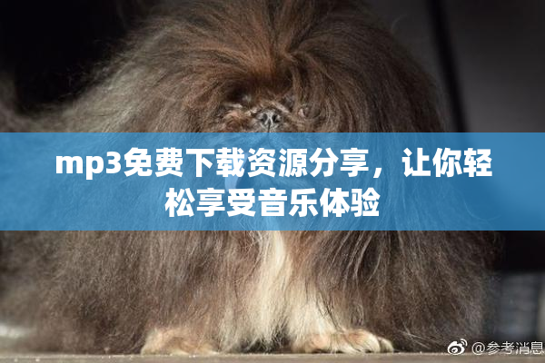 mp3免费下载资源分享，让你轻松享受音乐体验