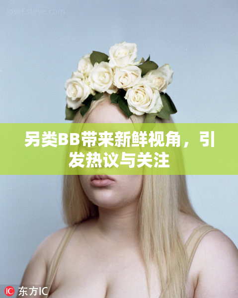 另类BB带来新鲜视角，引发热议与关注