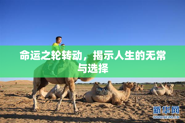 命运之轮转动，揭示人生的无常与选择