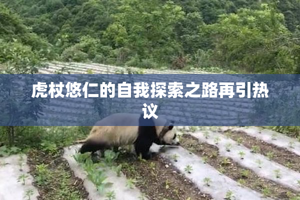 虎杖悠仁的自我探索之路再引热议