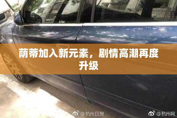 荫蒂加入新元素，剧情高潮再度升级