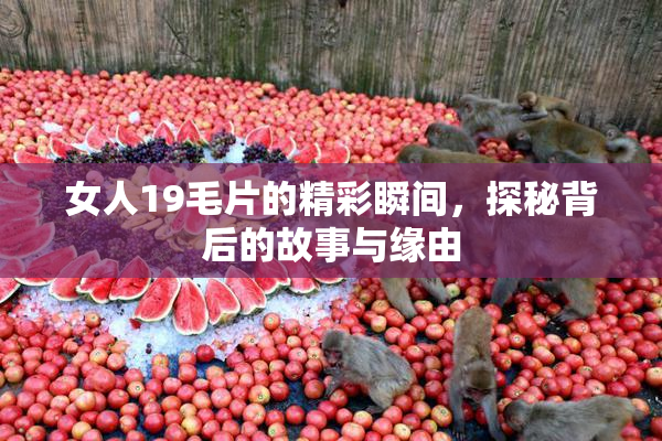 女人19毛片的精彩瞬间，探秘背后的故事与缘由