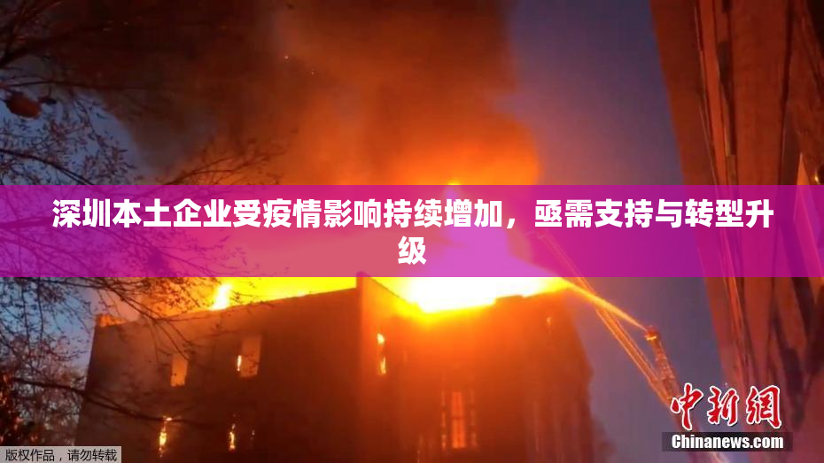 深圳本土企业受疫情影响持续增加，亟需支持与转型升级