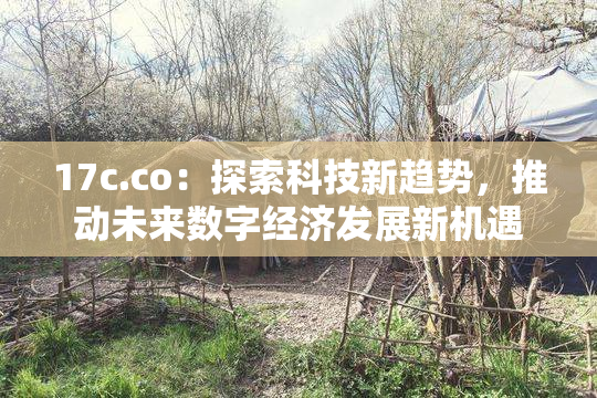 17c.co：探索科技新趋势，推动未来数字经济发展新机遇